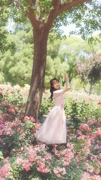 宁安如梦电视剧免费播放全集高清